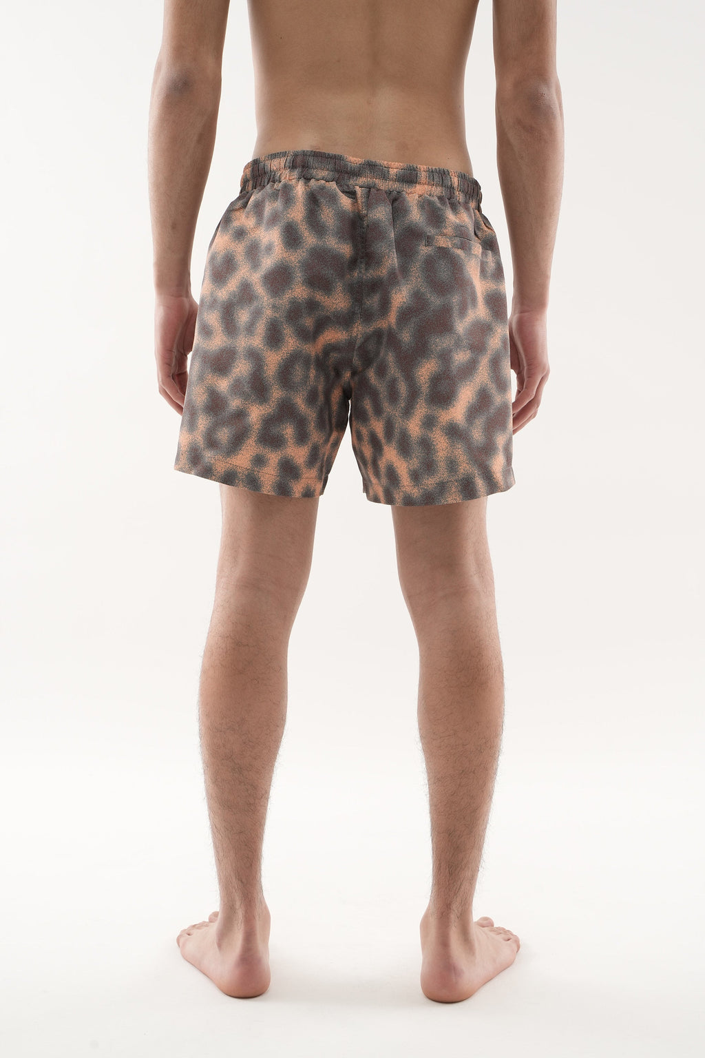 Cheetah Brown Swimpants